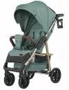 Прогулочная коляска Baby Tilly Eco T-166 (emerald green) icon