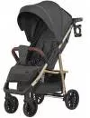 Прогулочная коляска Baby Tilly Eco T-166 (midnight gray) icon