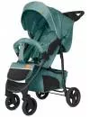 Прогулочная коляска Baby Tilly Twist T-164 (jungle green) icon