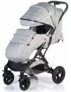 Прогулочная коляска Babyhit Regard BS103 (light grey) icon