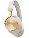 Наушники Bang &#38; Olufsen Beoplay H95 (золотистый) icon 2