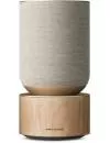 Умная колонка Bang &#38; Olufsen Beosound Balance (натуральный) icon