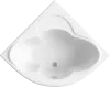 Акриловая ванна BAS Имейджен 139x139 icon 2