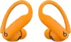 Наушники Beats Powerbeats Pro 2 (оранжевый) icon 5
