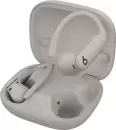 Наушники Beats Powerbeats Pro 2 (серый) icon 2