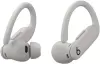 Наушники Beats Powerbeats Pro 2 (серый) icon 3