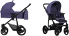 Универсальная коляска BEBETTO Explorer (2 в 1, 04, черная рама) фото 2