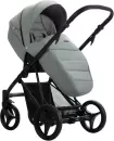 Детская универсальная коляска Bebetto Flavio Pro 2 в 1 (09/черная рама) icon 2