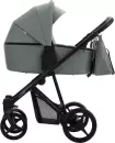 Детская универсальная коляска Bebetto Flavio Pro 2 в 1 (09/черная рама) icon 3