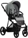 Детская универсальная коляска Bebetto Flavio Pro 2 в 1 (09/черная рама) icon 4
