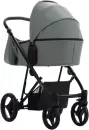 Детская универсальная коляска Bebetto Flavio Pro 2 в 1 (09/черная рама) icon 5