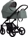 Детская универсальная коляска Bebetto Magnum Light Pro 2 в 1 (Light Pro 02, шалфей кожа) icon