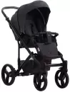 Детская универсальная коляска Bebetto Tiger 2 в 1 (230/рама черная) icon 2