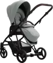 Детская универсальная коляска Bebetto Yoddi Pro 2 в 1 (04, шалфей кожа) icon 2