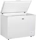 Морозильный ларь BEKO CF316EWN icon 2