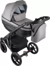 Детская универсальная коляска Bexa Ideal Eco 2 в 1 IE (05, черный/светло-серый кожа) icon