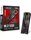 Жесткий диск SSD Biostar M500 (M500-512GB) 512Gb icon