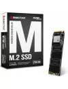 Жесткий диск SSD Biostar M700 (M700-256GB) 256Gb фото 2