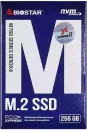SSD BIOSTAR M760 256GB M760-256GB фото 5