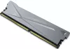 Оперативная память Biwin DX500 8ГБ DDR4 3600 МГц B14BU8G53618CR-GAL#A icon