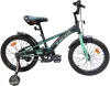 Велосипед детский Black Aqua Velorun 20 KG2019 (бирюзовый) icon