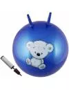 Мяч гимнастический Body Form BF-CHBP02 55 см blue icon