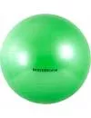 Мяч гимнастический Body Form BF-GB01 55 см green icon