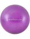 Мяч гимнастический Body Form BF-GB01M 18 см purple icon