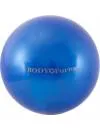 Мяч гимнастический Body Form BF-GB01M 20 см blue icon