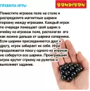 Настольная игра Bondibon Полюса притяжения ВВ6356 icon 6