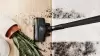Пылесос Bosch BCS8215HYG icon 3
