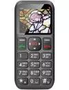 Мобильный телефон BQ Arlon (BQM-1802) icon
