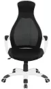 Кресло Brabix Genesis EX-517 (белый/черный) фото 2