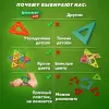 Конструктор магнитный Brauberg Kids Magnetic Blocks / 665718 icon 10
