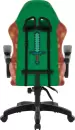 Игровое кресло Defender Legas (зелёный/оранжевый) icon 2