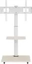 Стойка для телевизора BrightSight DZ-05G (белый) icon