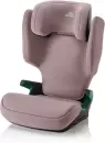 Автокресло Britax Romer Discovery Plus 2 (dusty rose) icon