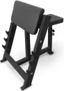 Скамья Скотта Bronze Gym PARTNER AL-303 icon