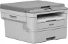 МФУ Brother DCP-B7500D icon 2