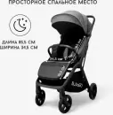 Детская прогулочная коляска Bubago Luna / BG 154-3 (темно-серый) icon 5