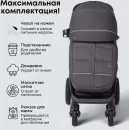 Детская прогулочная коляска Bubago Model Bass / 133-CH-3 (серый) icon 10