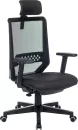 Кресло Бюрократ Expert TW-01 38-418 (черный) icon
