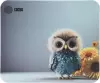 Коврик для мыши CACTUS Owl Gray (CS-MPC-D12M) icon