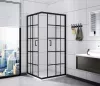 Душевой уголок Calani Delta 90x90 Black фото 2