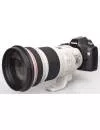 Объектив Canon EF 300mm f/2.8L IS II USM фото 4