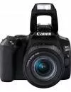 Фотоаппарат Canon EOS 250D Kit 18-135mm IS USM Black фото 3