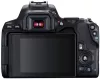 Фотоаппарат Canon EOS 250D Kit 18-55 f/3.5-5.6 III (черный) фото 3
