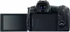 Фотоаппарат Canon EOS R10 RF-S 18-150mm F3.5-6.3 IS STM icon 5
