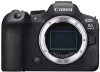 Фотоаппарат Canon EOS R6 Mark II Body + адаптер крепления EF-EOS R фото 2
