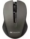 Компьютерная мышь Canyon CNE-CMSW1G icon